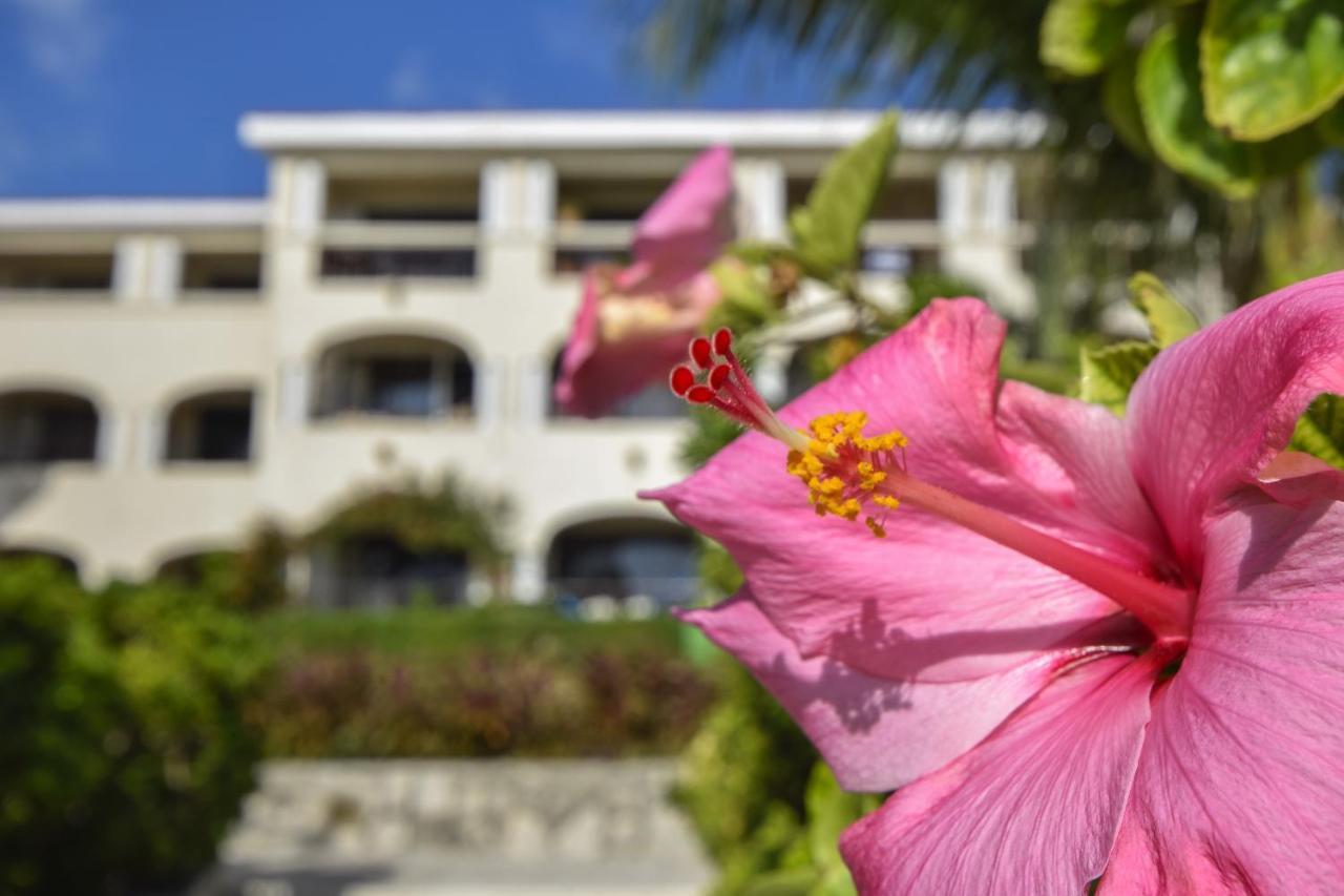 Our Popular 1 Bedr Oceanfront At Xaman Ha Why Xh7116 Appartamento *